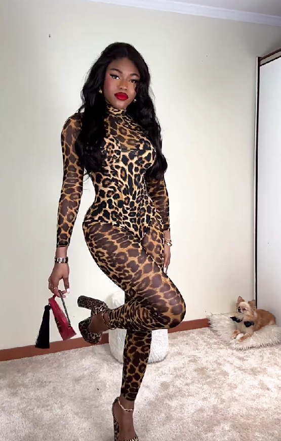 Sexy mesh see-through leopard print jumpsuit