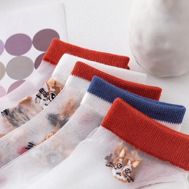 Summer Glass Silk Kitten Socks