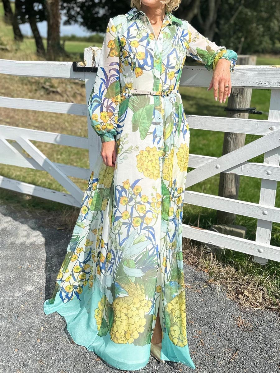 Printed Long Sleeve Maxi Dress